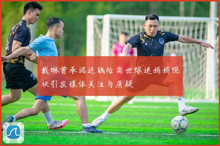 戴琳曾承诺还钱给离世球迷妈妈现状引发媒体关注与质疑