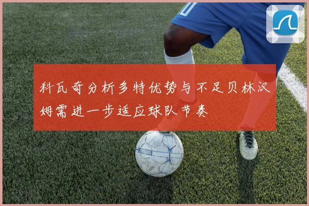 科瓦奇分析多特优势与不足贝林汉姆需进一步适应球队节奏