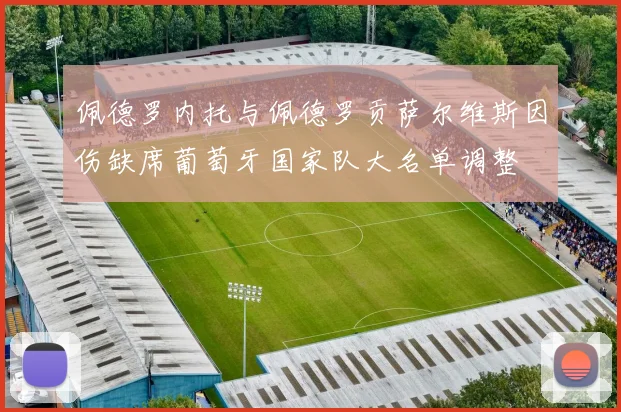 佩德罗内托与佩德罗贡萨尔维斯因伤缺席葡萄牙国家队大名单调整