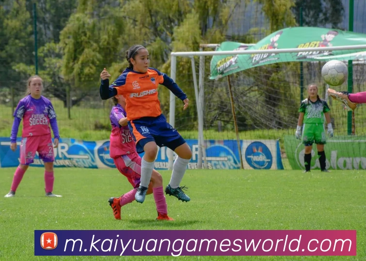 多媒体互动体验