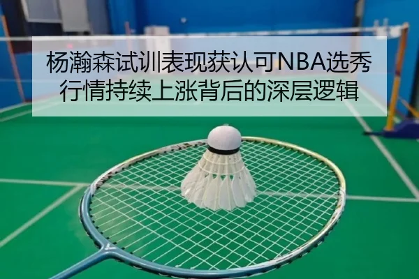 杨瀚森试训表现获认可NBA选秀行情持续上涨背后的深层逻辑 - KYgaming