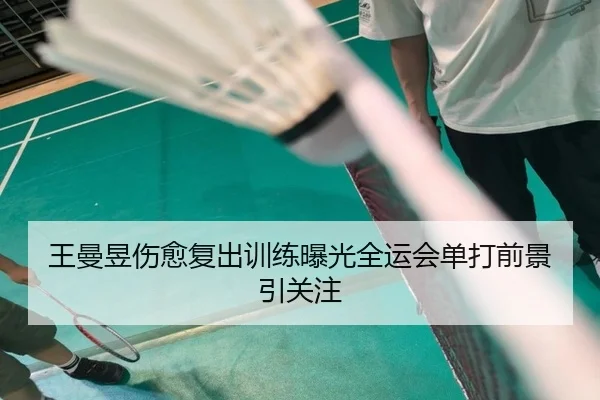 王曼昱伤愈复出训练曝光全运会单打前景引关注 - KYgaming